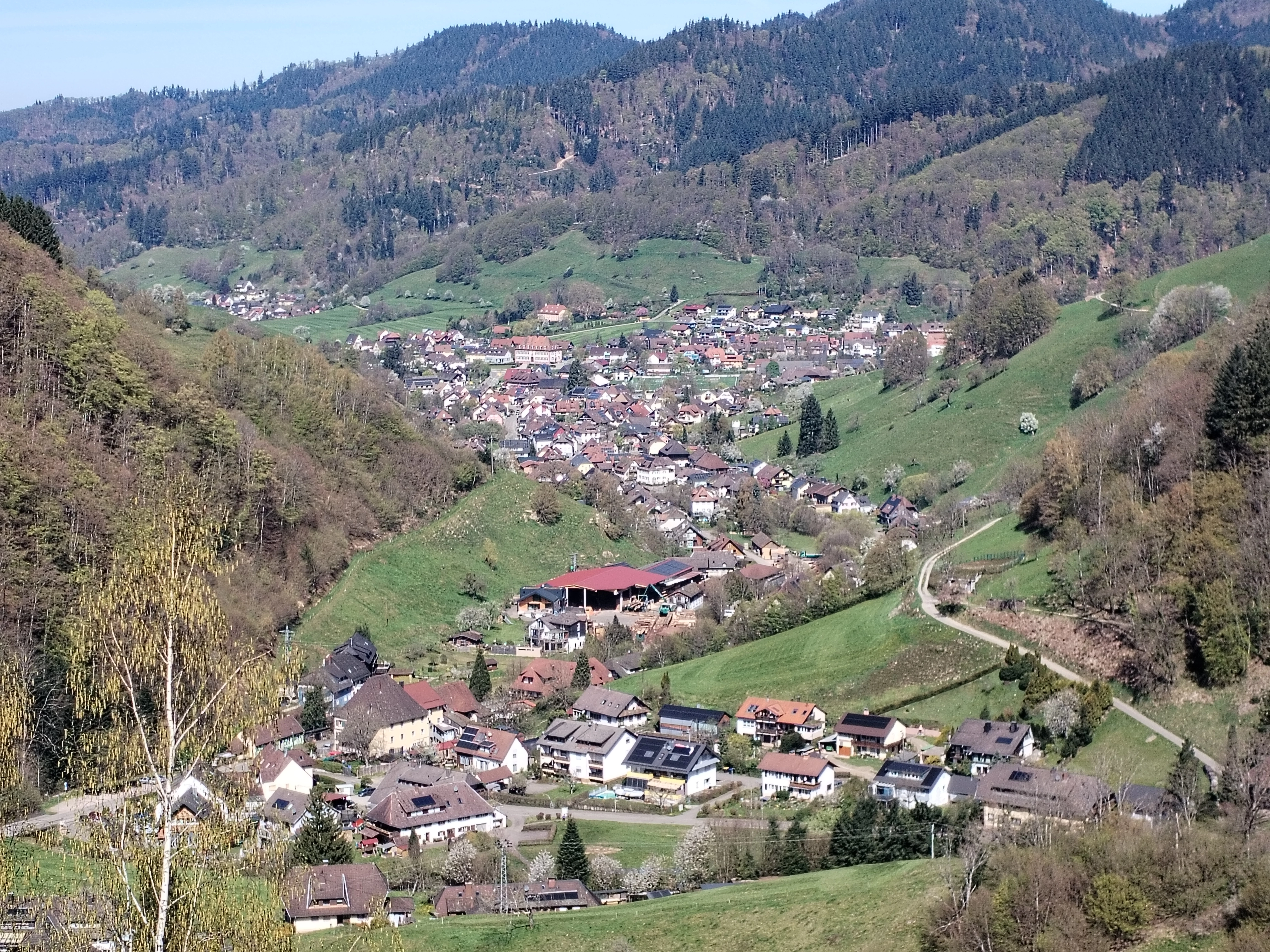 Ein kleines Dorf in einem grünen Tal, umgeben von bewaldeten Hügeln und Bergen, mit verstreuten Häusern und Wiesen in ruhiger Landschaft.